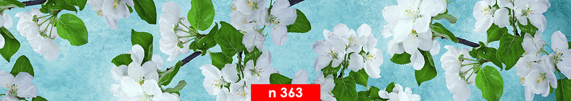 n 363